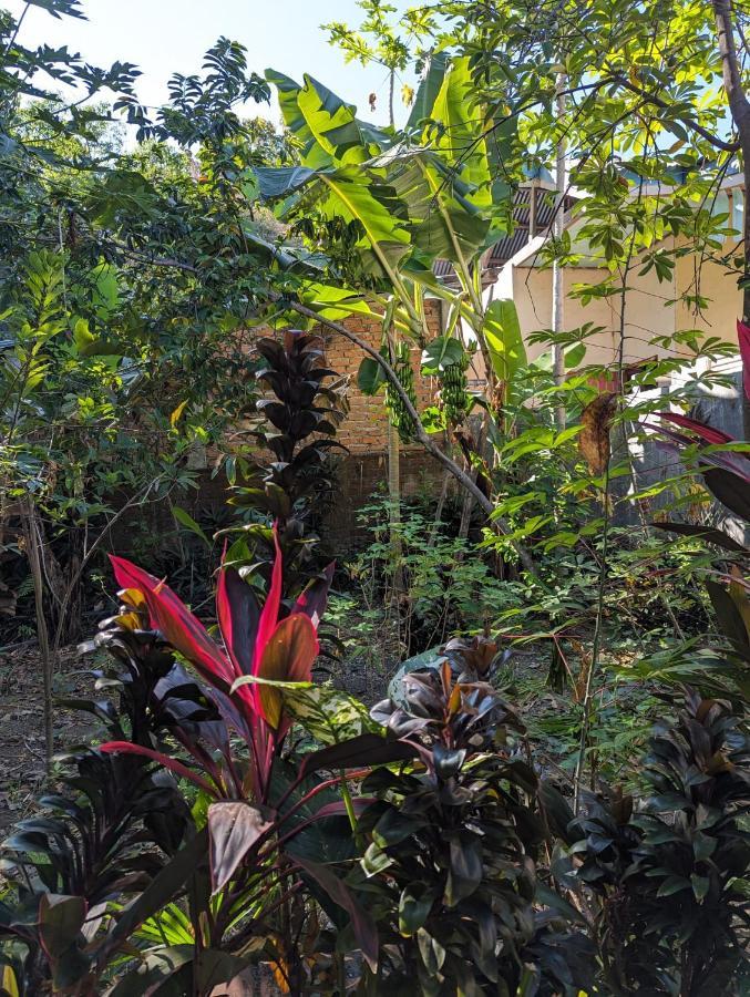 Agus Family Homestay 纳闽巴霍 外观 照片